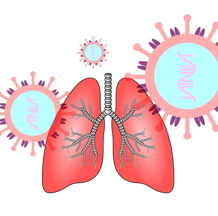 Collaborate to Innovate: Peer Approaches to Lung Cancer Screening Quality Improvement