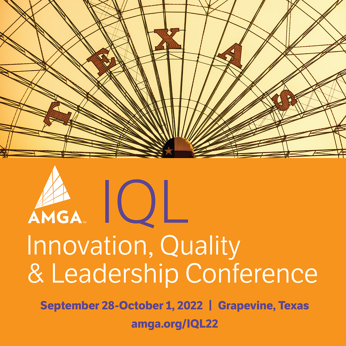 Preview of Achieving the Quadruple Aim through AMGA’s HPPE Program