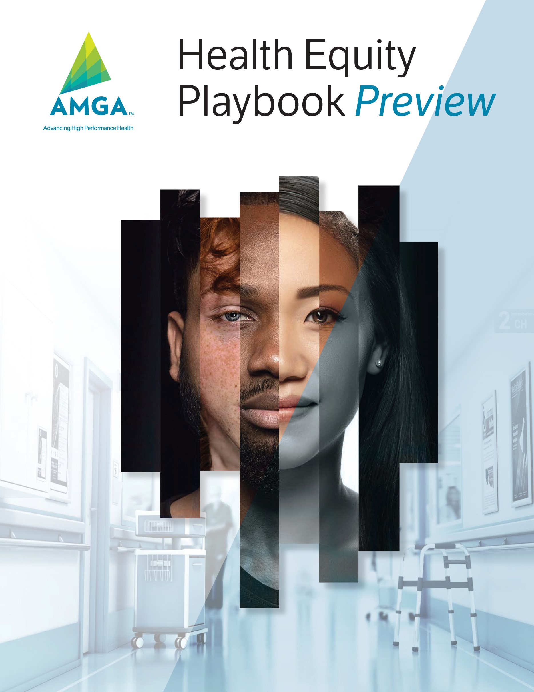 Preview of Health Equity Playbook Preview